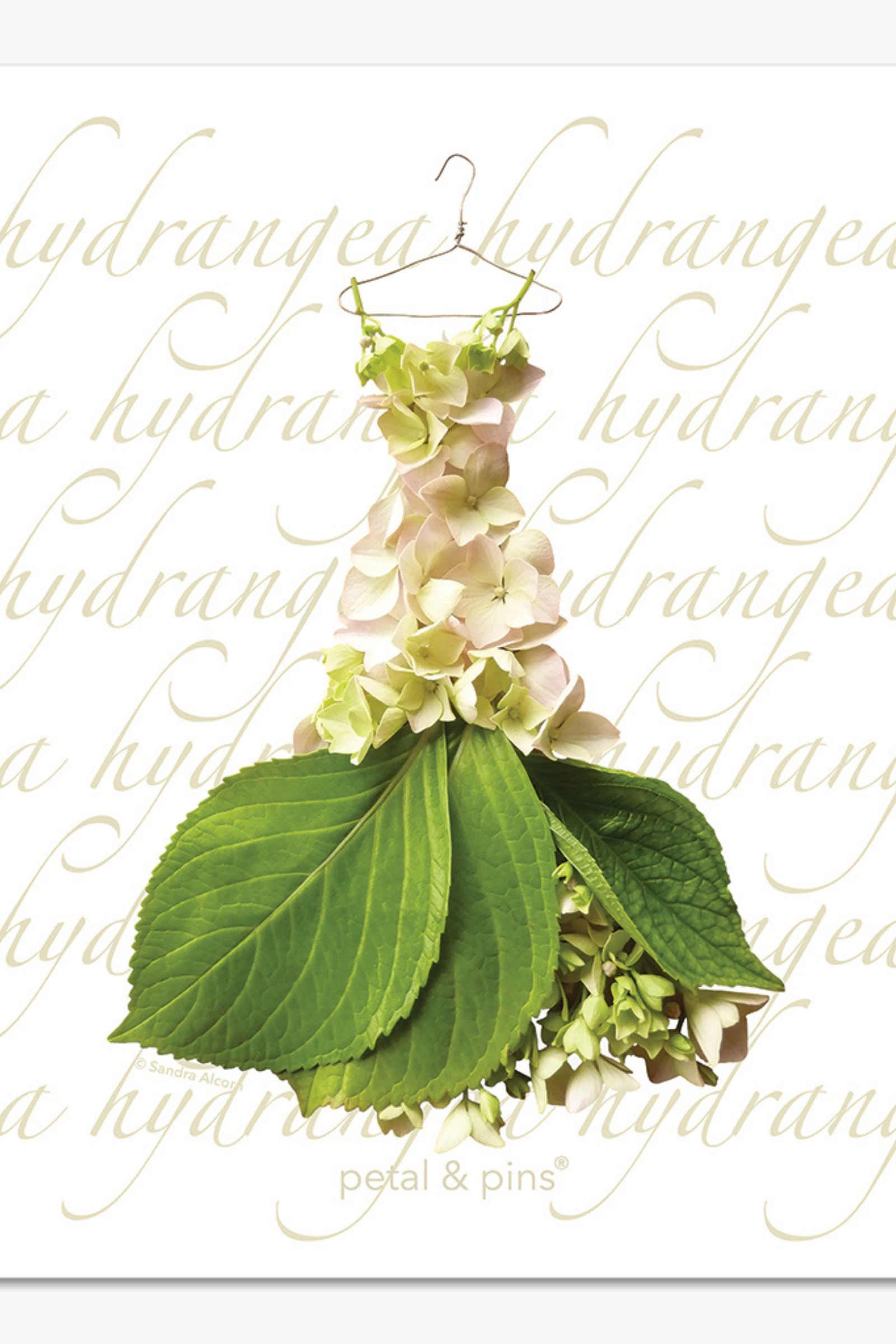 Petal & Pins Cream Hydrangea Gown Tea Towel