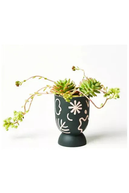 POCKET PLANTER STAR PINK